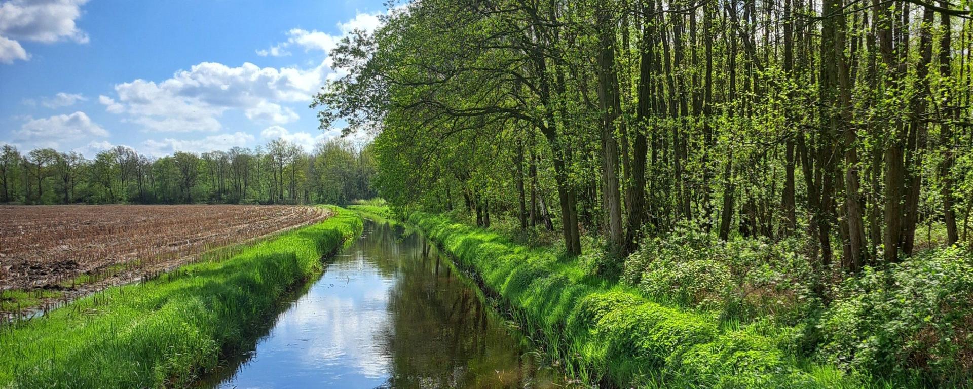 Waterschap De Dommel